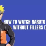 Cómo ver Naruto Shippuden sin rellenos [¡Único método!]