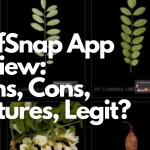 Revisión de la aplicación LeafSnap: planes
